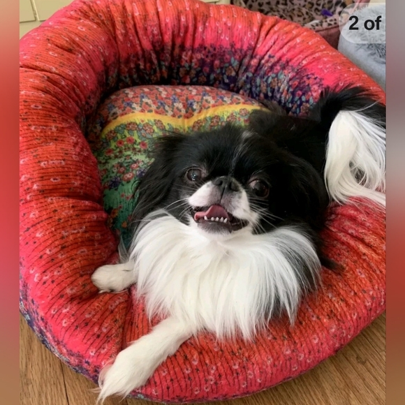 Johnny Was Tiger Dog Bed, S Extra Plush, Unique Tiger & Zebra Design, NWT - Picture 12 of 15